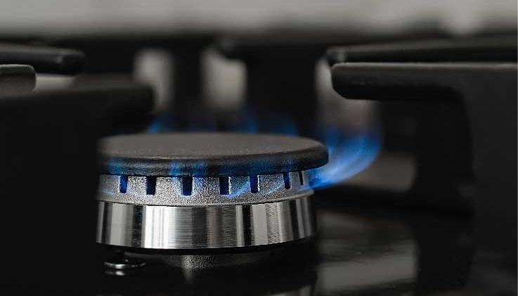 Imagen de referencia.