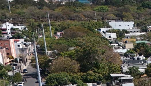 El techo de la discoteca cedió cuando se ofrecía un concierto en el lugar. 