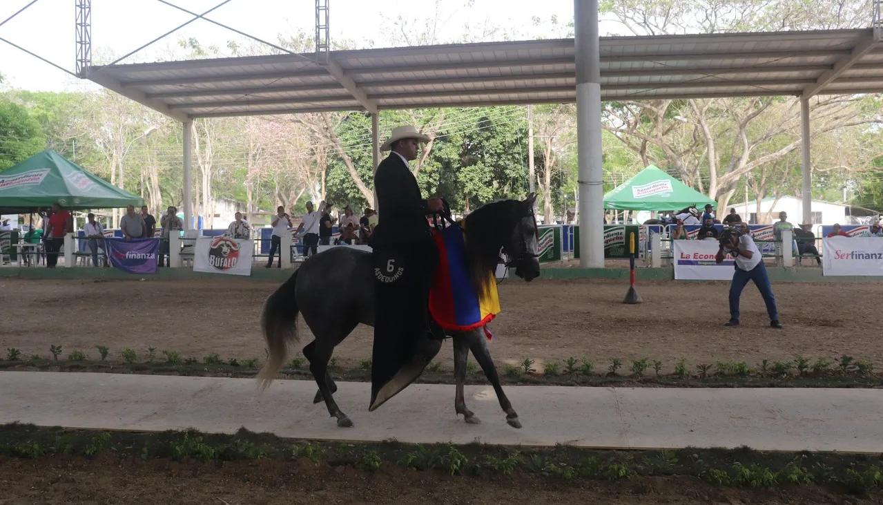Participarán 200 caballos en la demostración. 