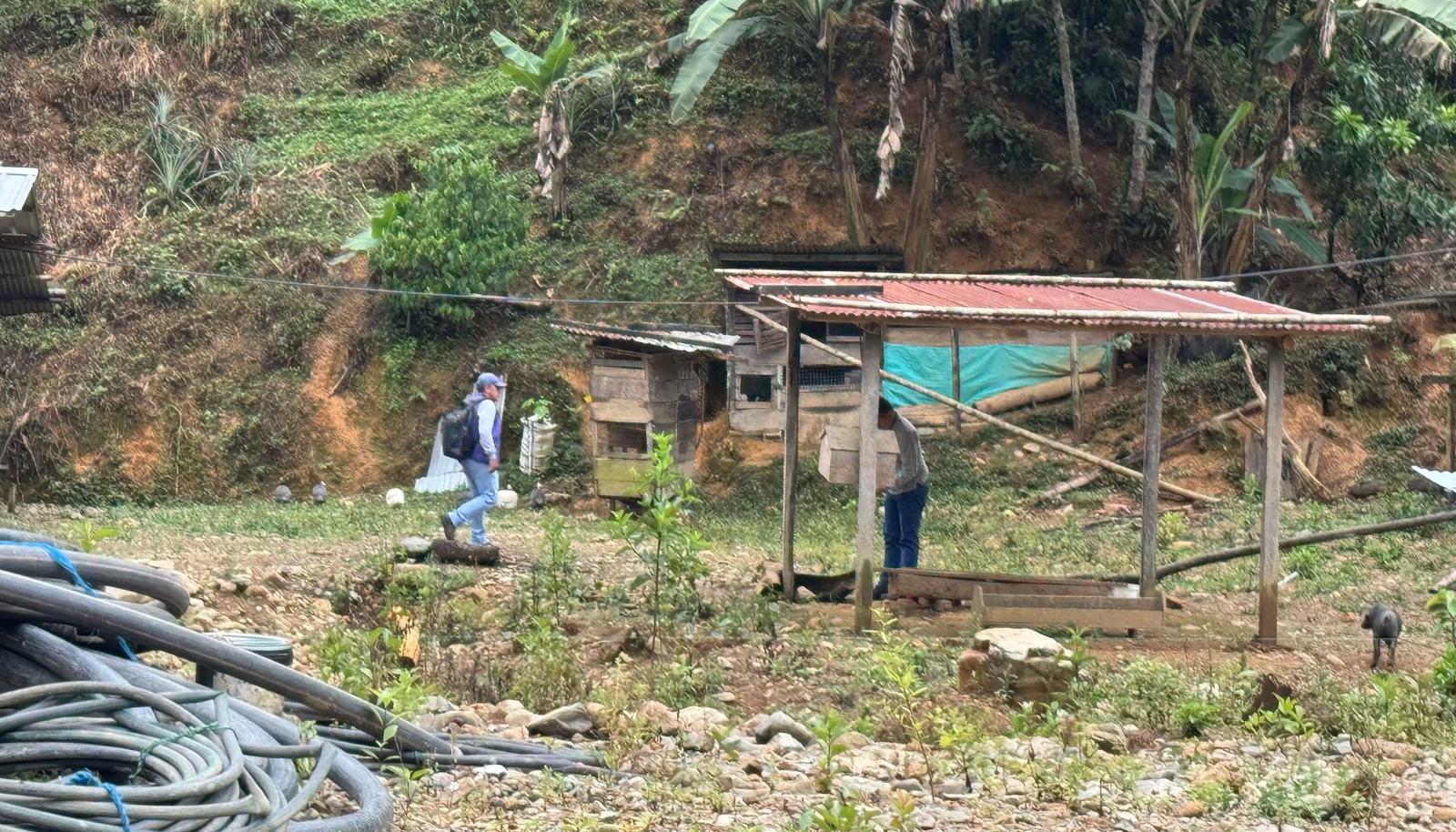 Vigilancia vectorial en la provincia de Loja.