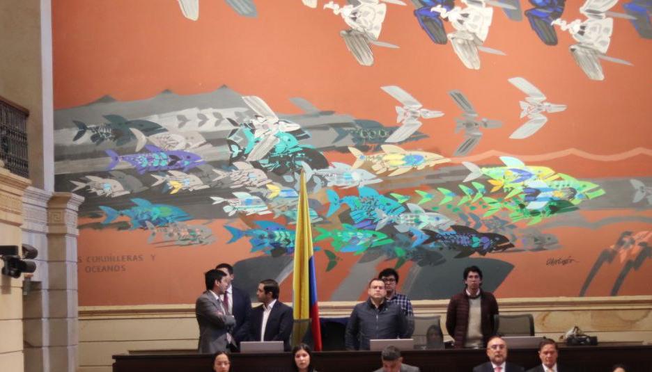 Cámara de Representantes.