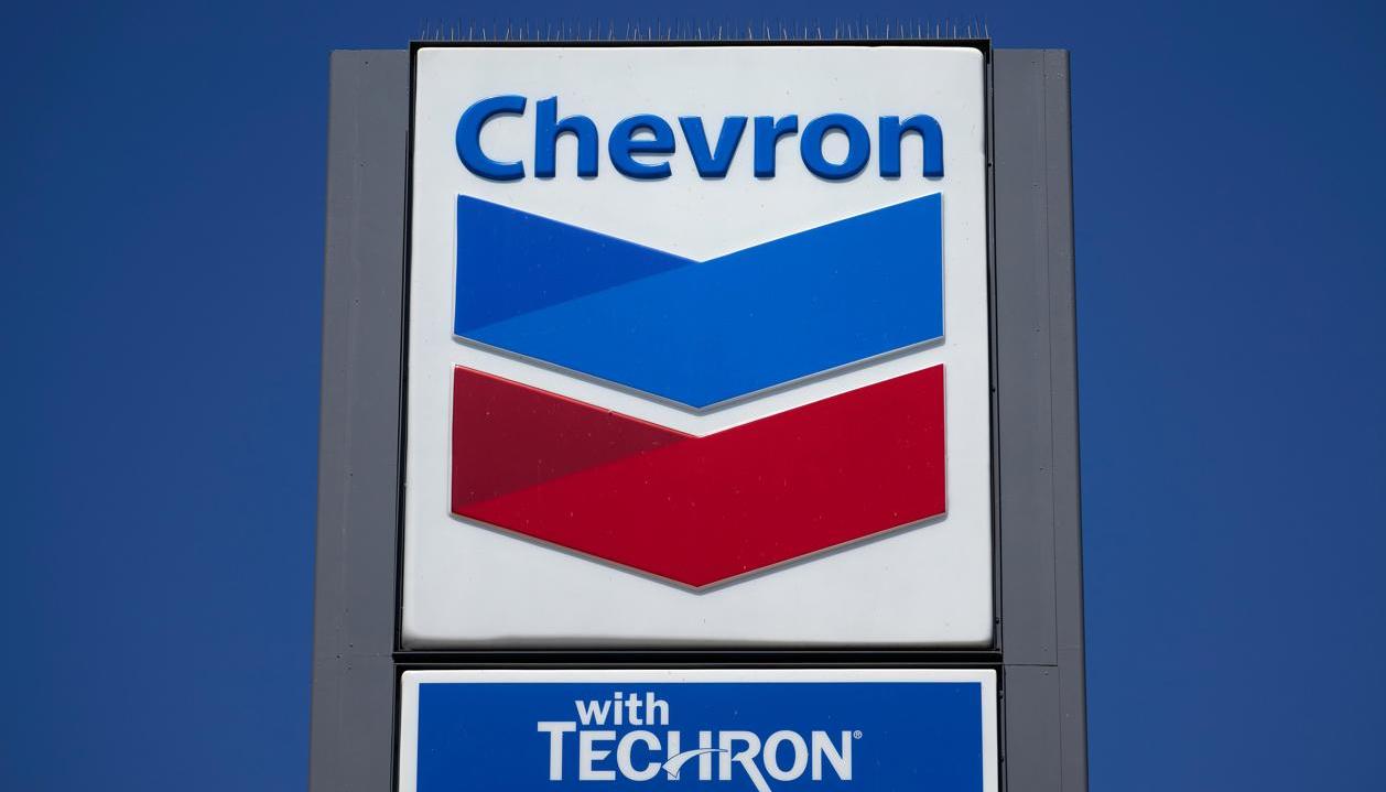 Imagen de referencia.