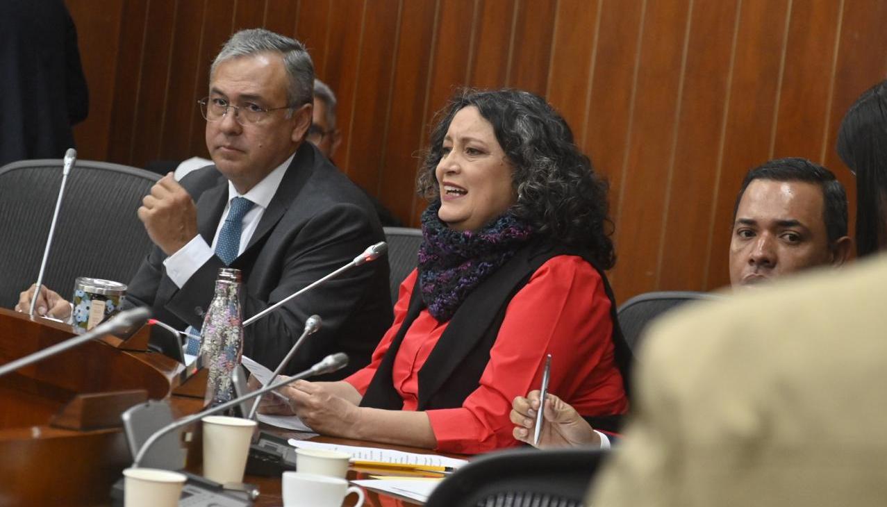 Angélica Lozano, presidenta de la Comisión IV del Senado.