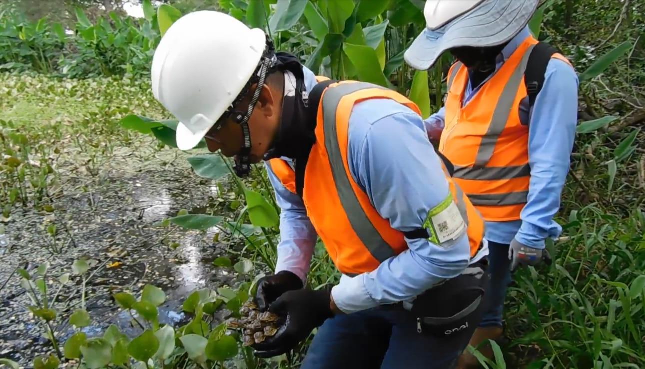 Ecoplanet lidera procesos de sostenibilidad.
