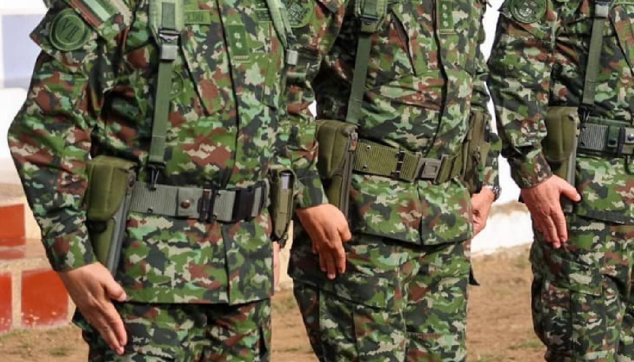 Imagen de referencia.