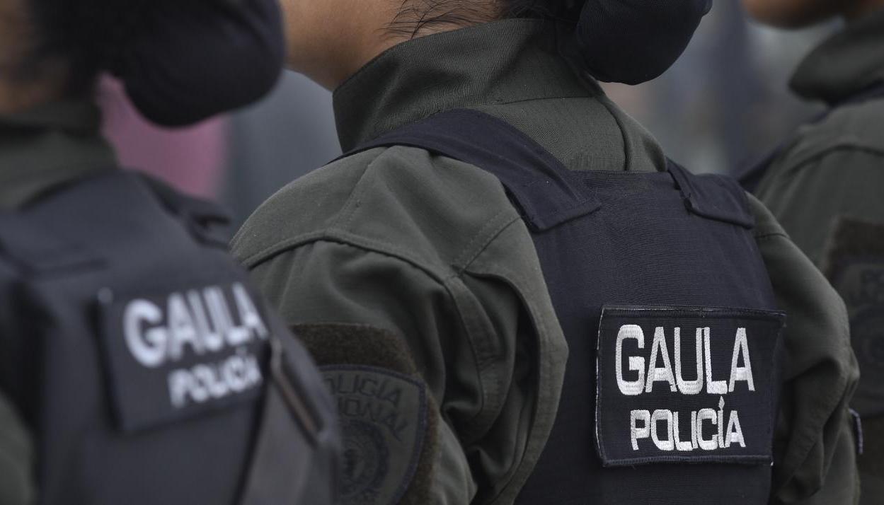 Personal del Gaula en formación.