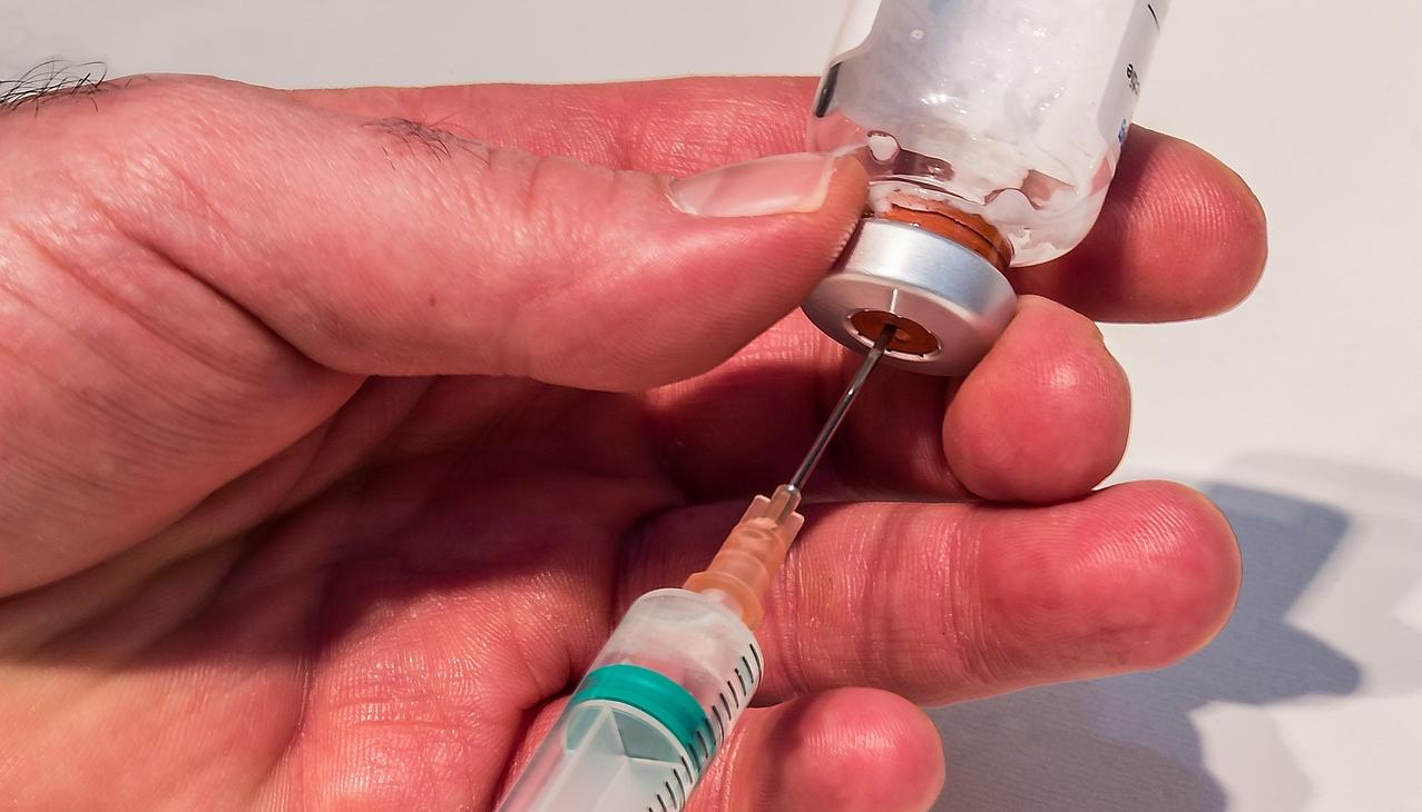 Imagen de referencia.