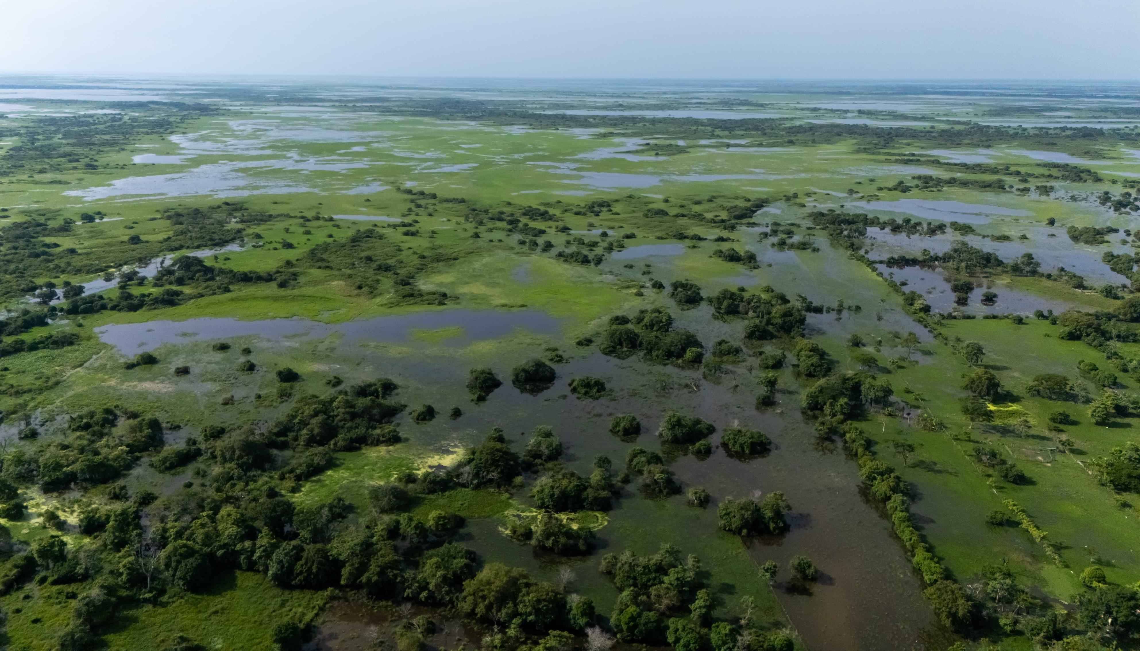 Imagen de La Mojana.