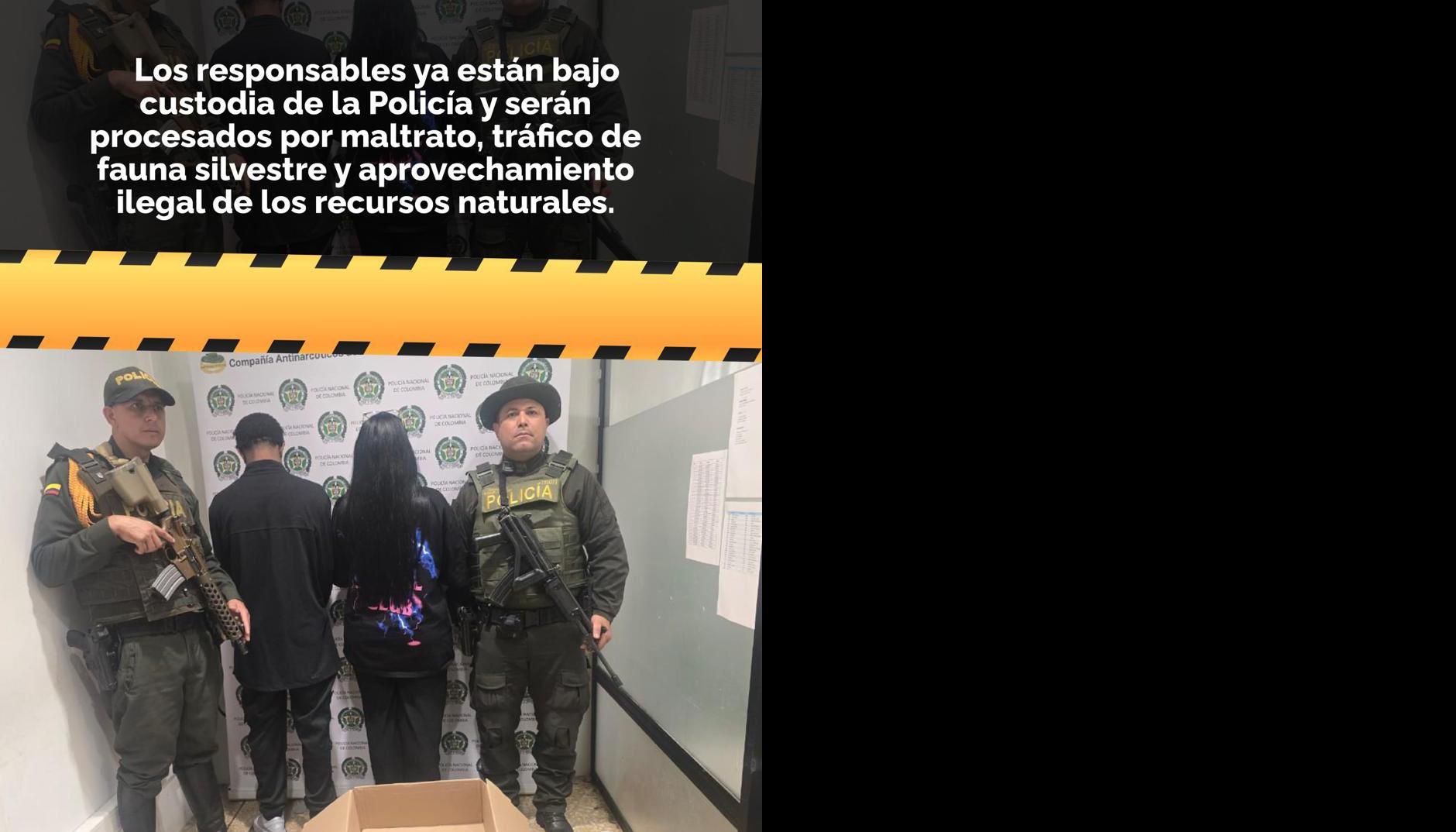 Personas detenidas.
