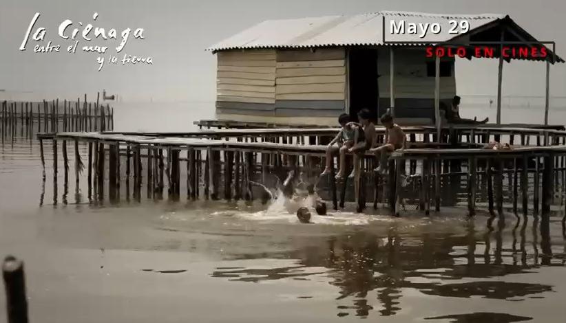 Fue grabada en la Ciénaga Grande de Santa Marta. 