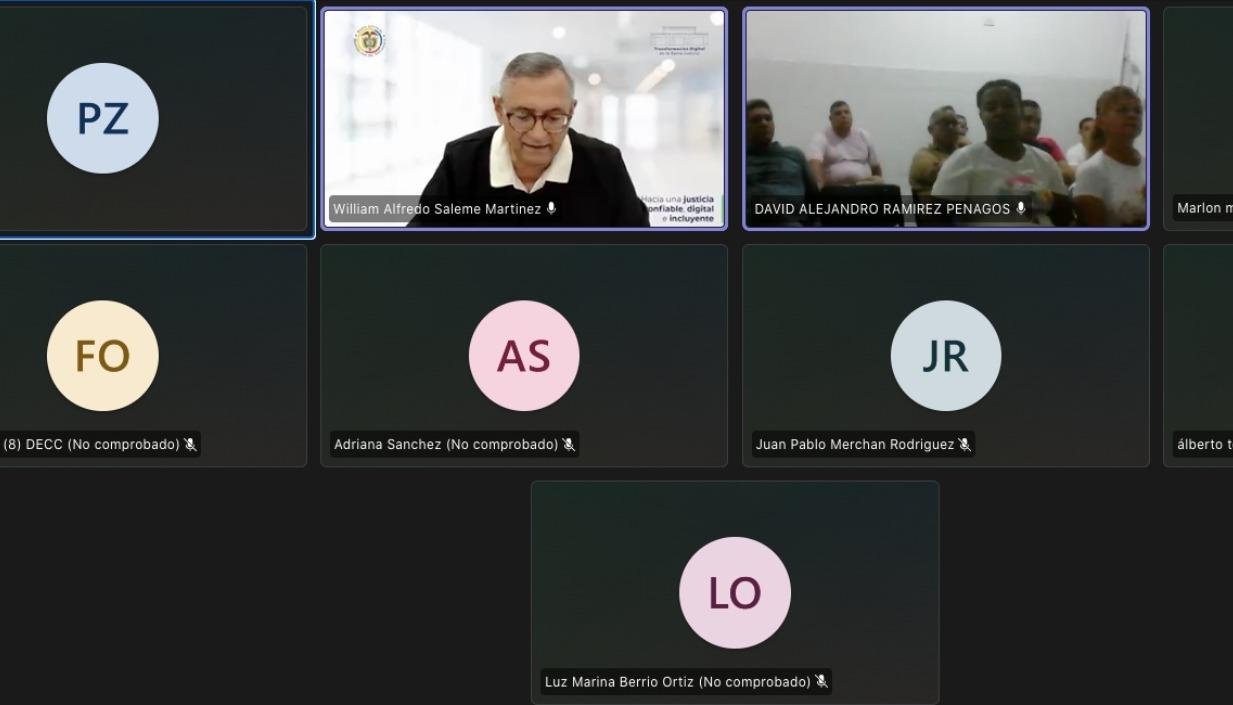Aspecto de la audiencia virtual de este viernes. 