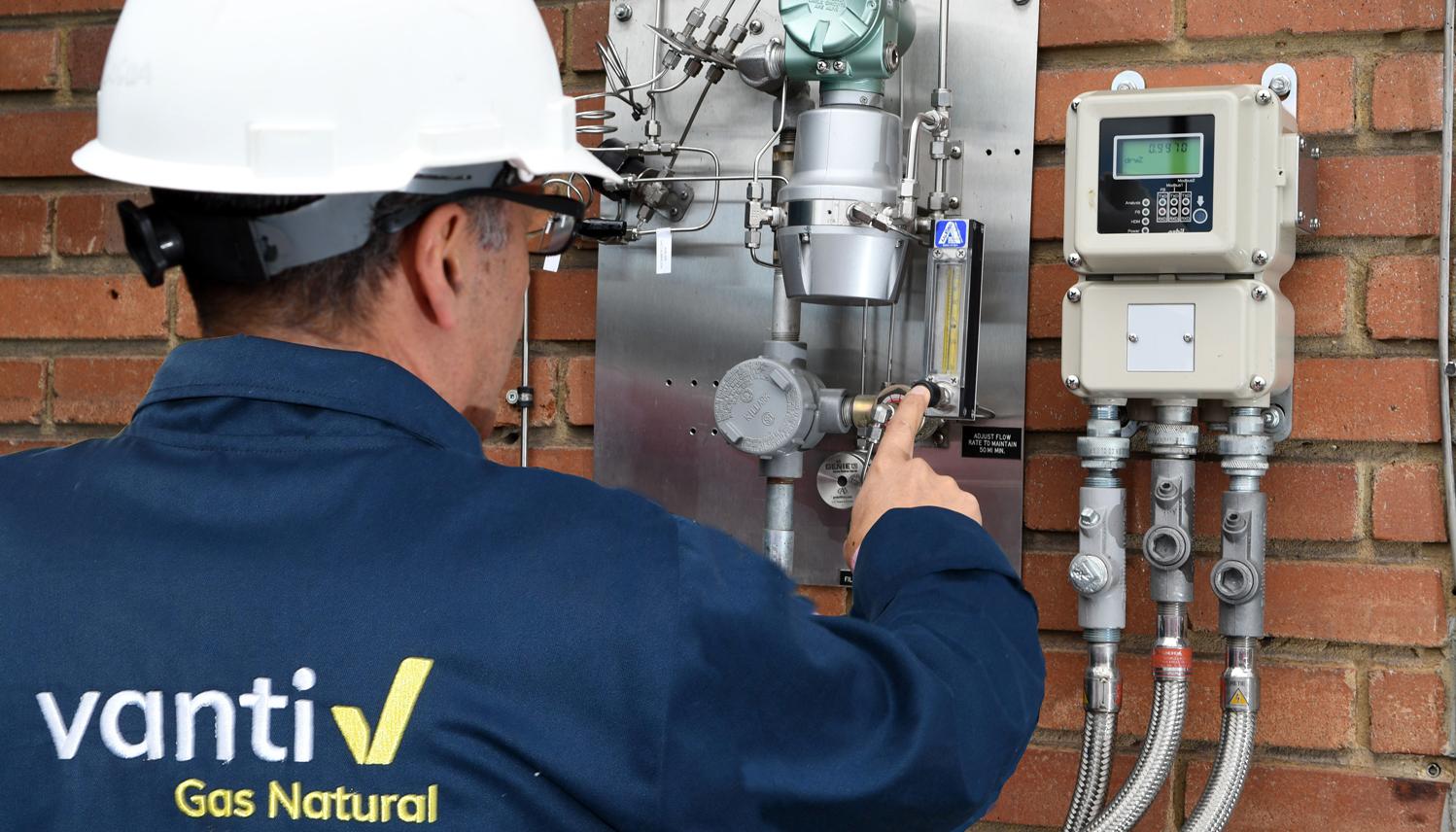 Imagen de referencia.