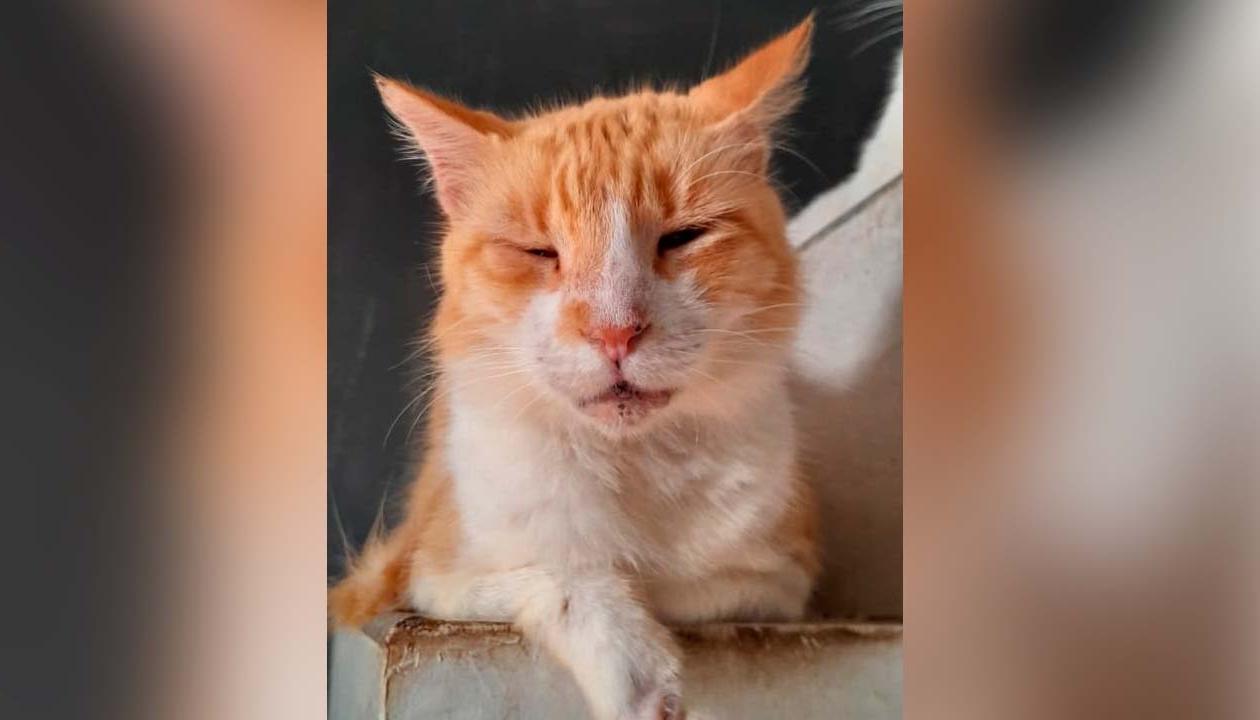 Fotografía de 'Mocha'.