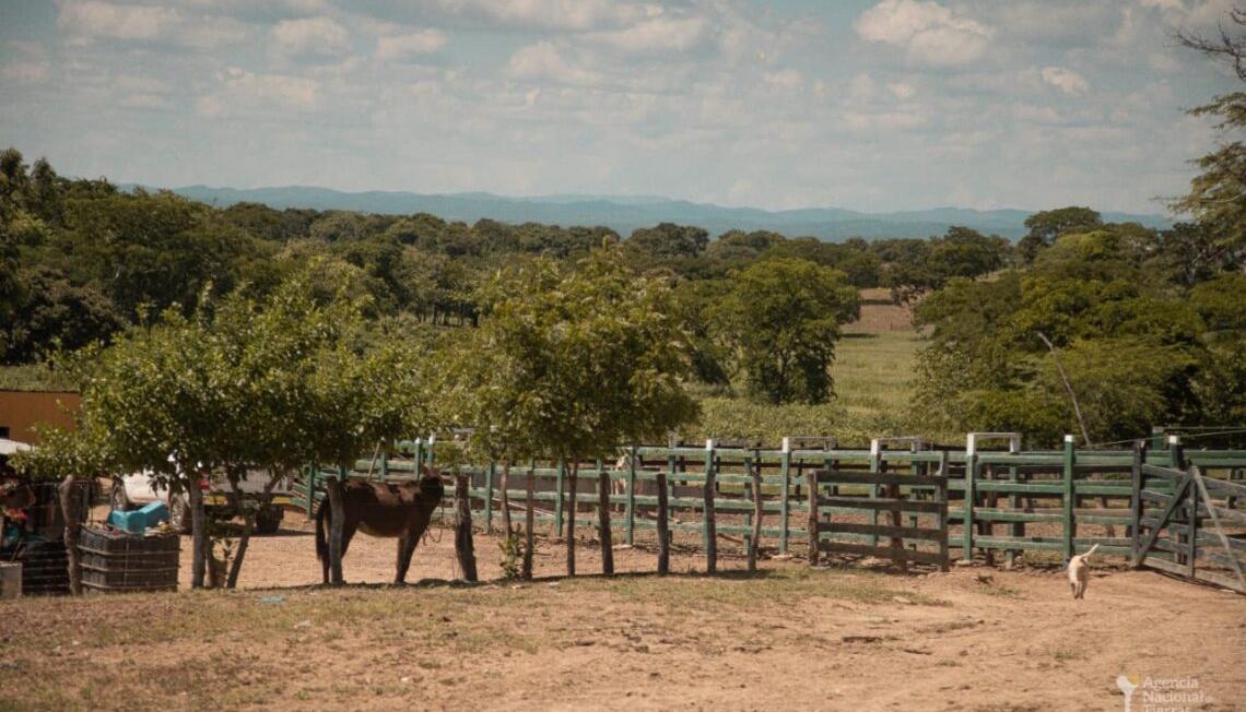 Regional Cesar corrobora cuales funcionarios habrían realizado las conductas denunciadas.