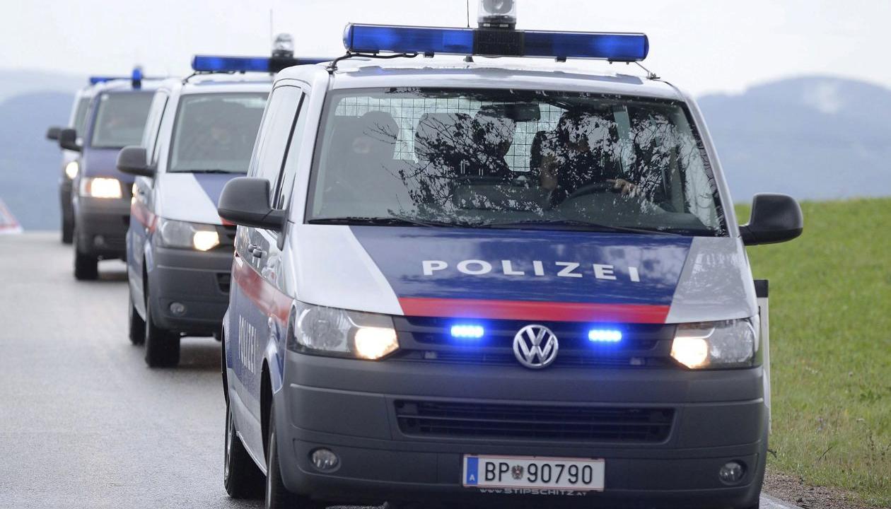 Imagen de referencia.