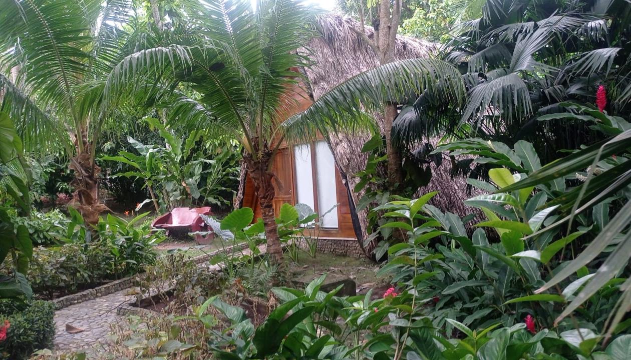 Ecohabs Bamboo Tayrona.