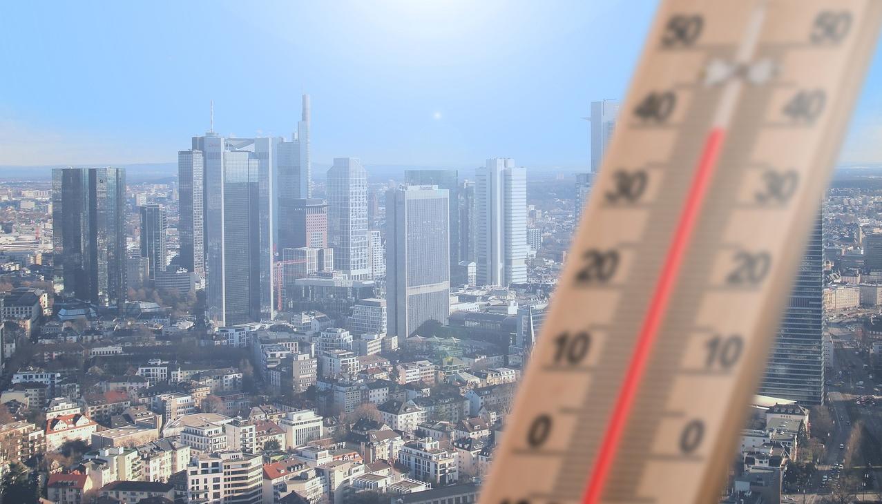 Imagen de referencia. 