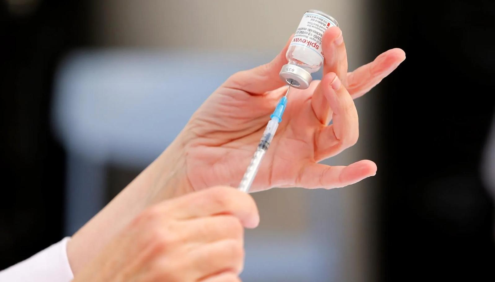 Imagen de referencia.