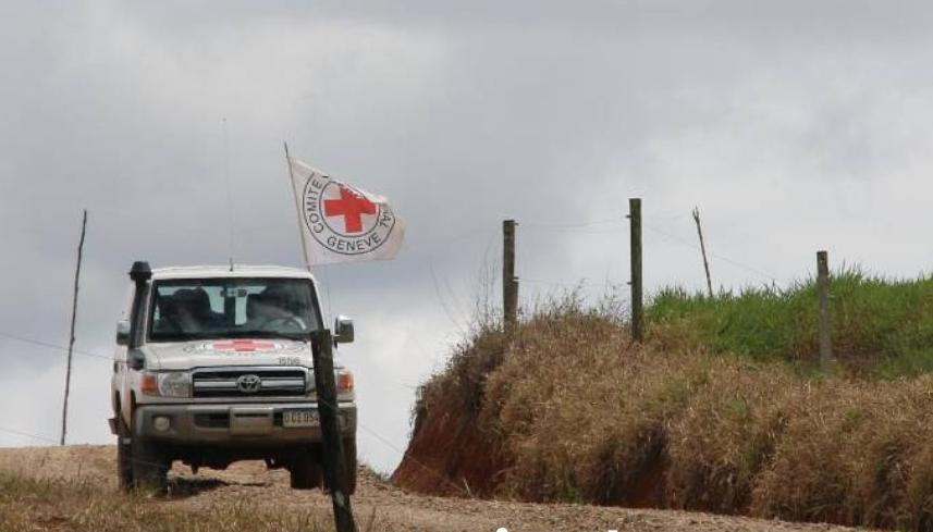 Imagen de referencia.