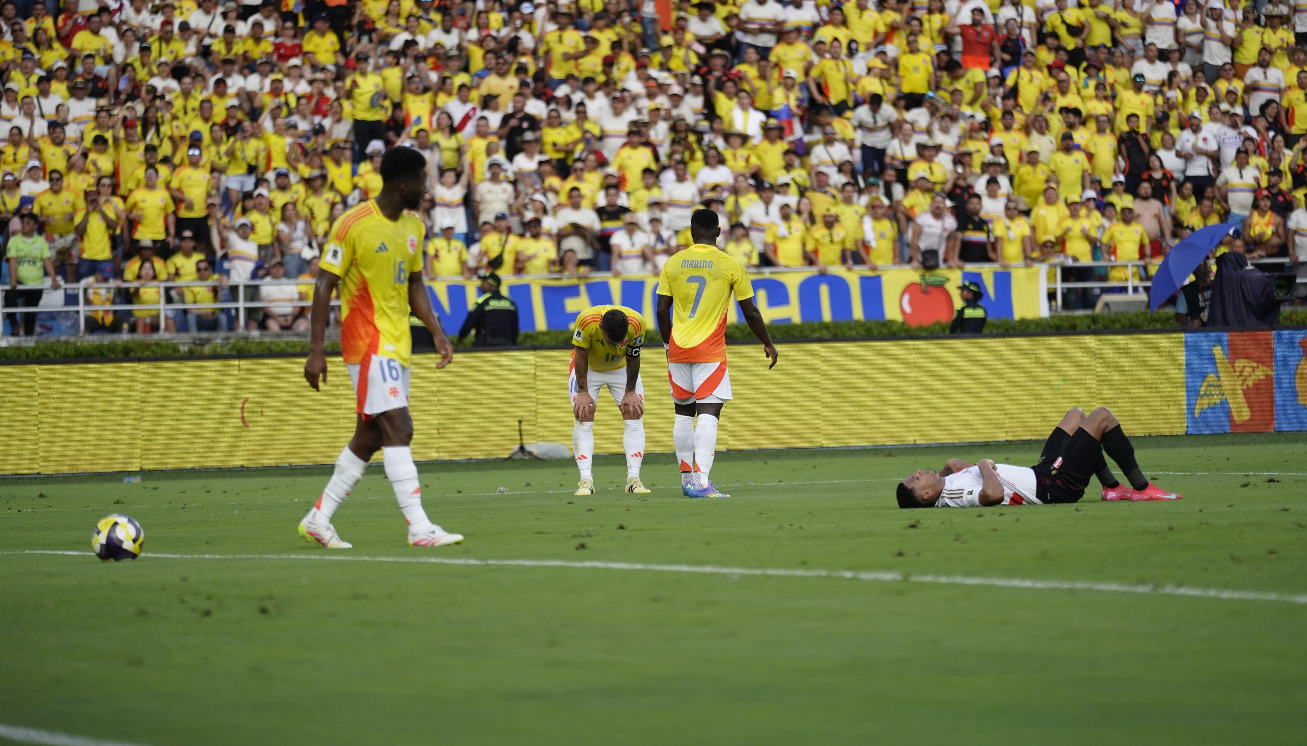 El lamento de los jugadores colombianos.