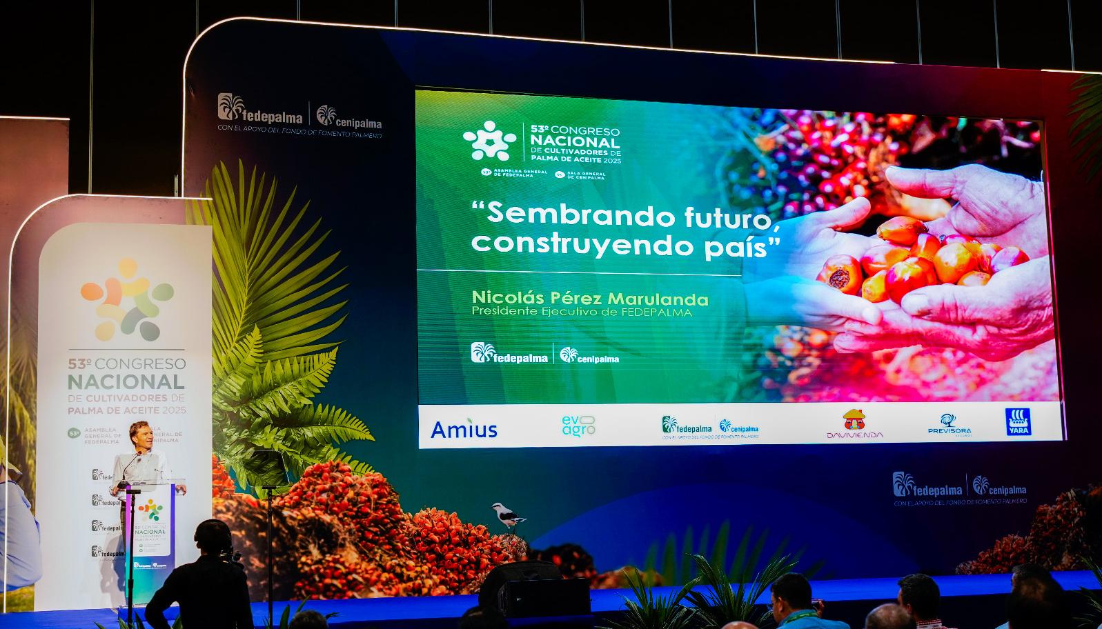 Nicolás Pérez Marulanda, presidente Ejecutivo de Fedepalma.