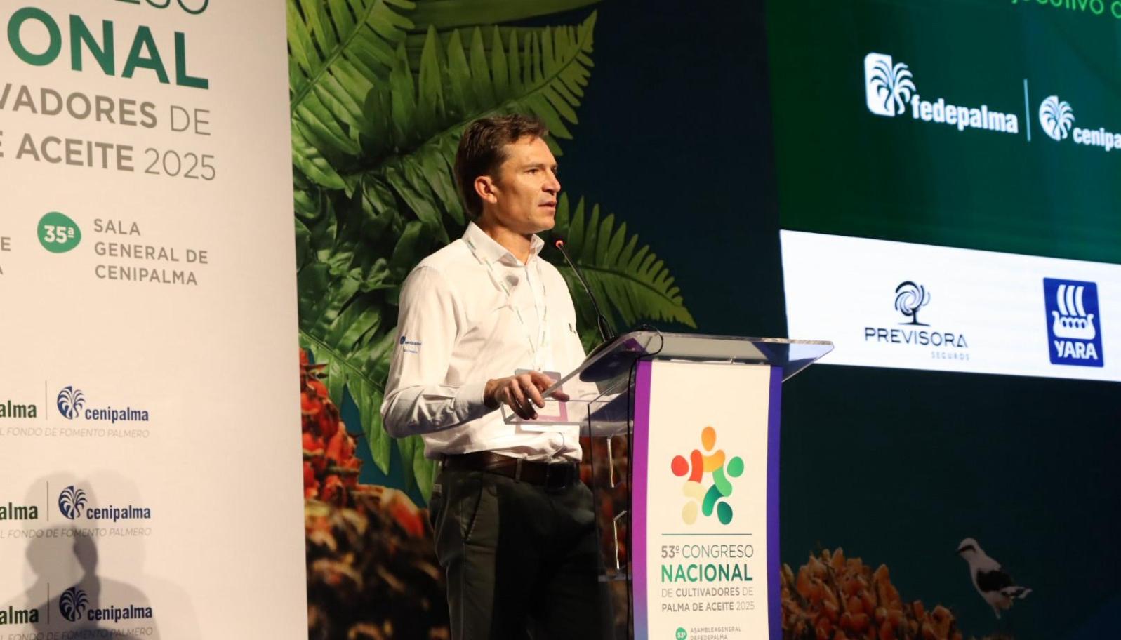 Nicolás Pérez Marulanda, presidente Ejecutivo de Fedepalma.