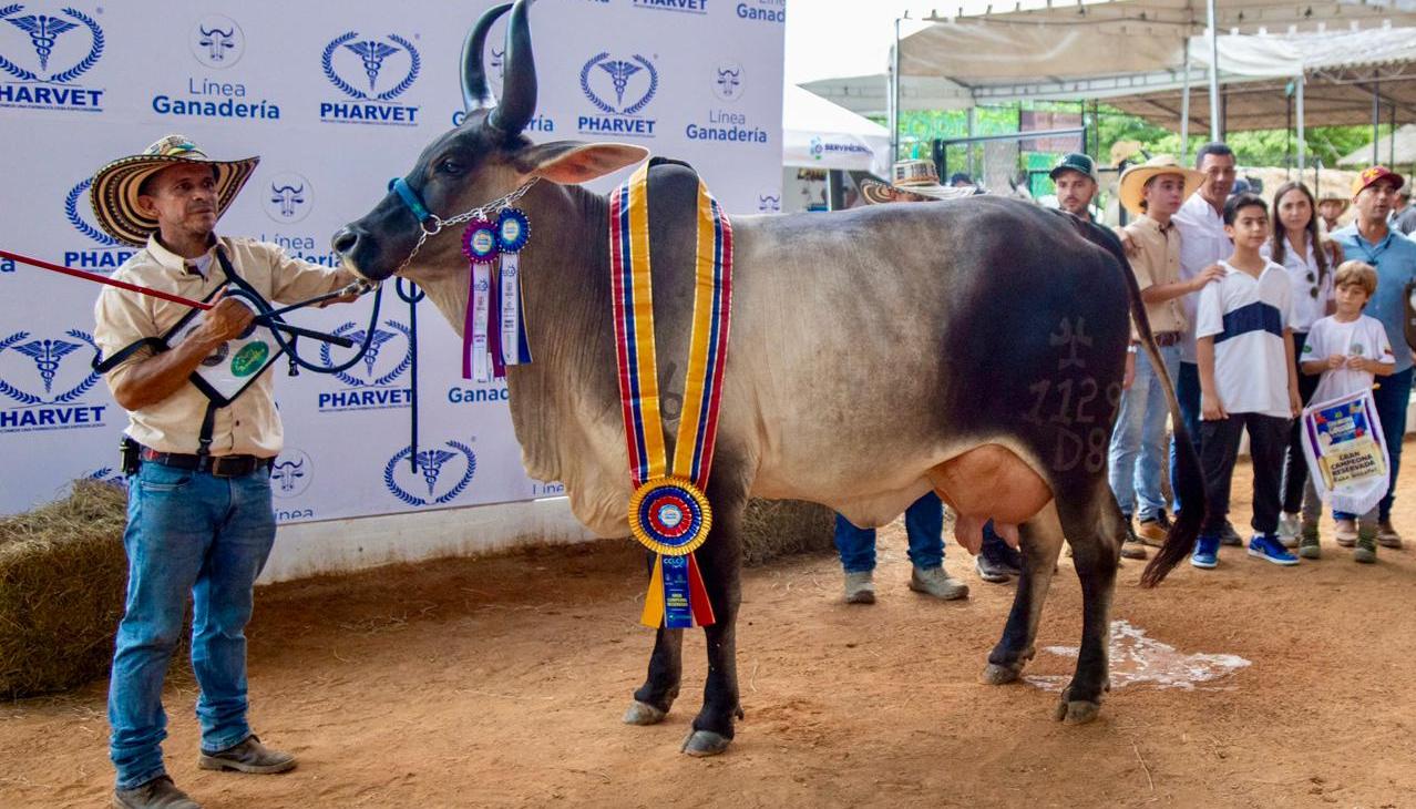 Atlántico, invitado especial en la Feria de la Ganadería de Montería.