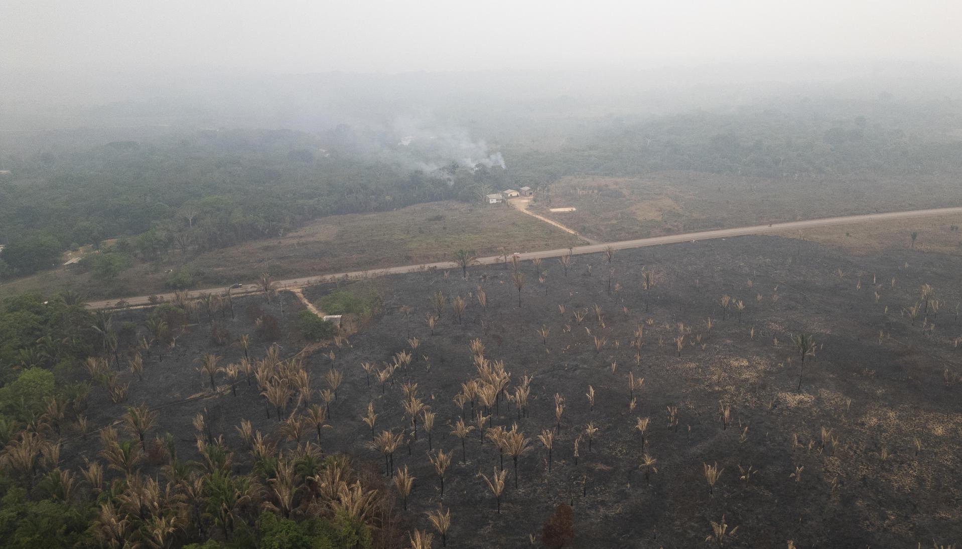 Fotografía aérea de un incendio forestal en Porto Velho (Brasil). 