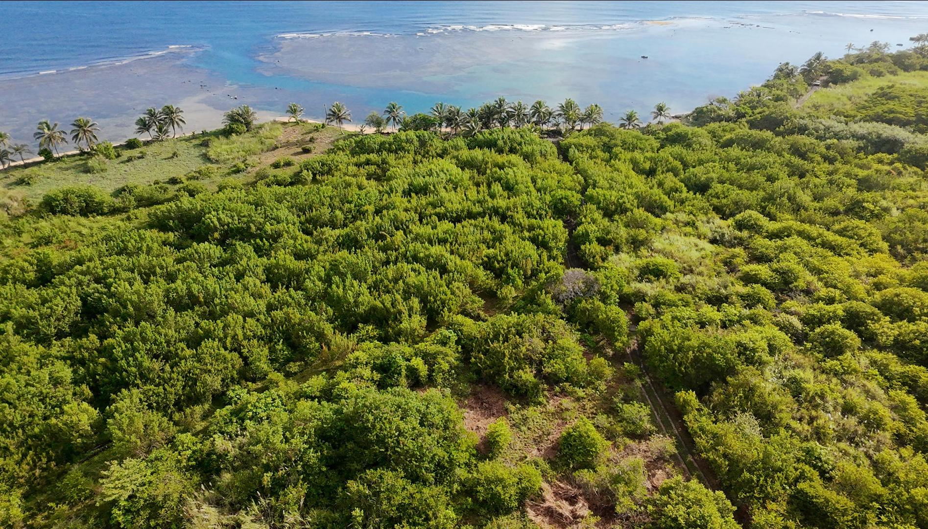 Fotografía aérea de la Isla Galeta, en Panamá.