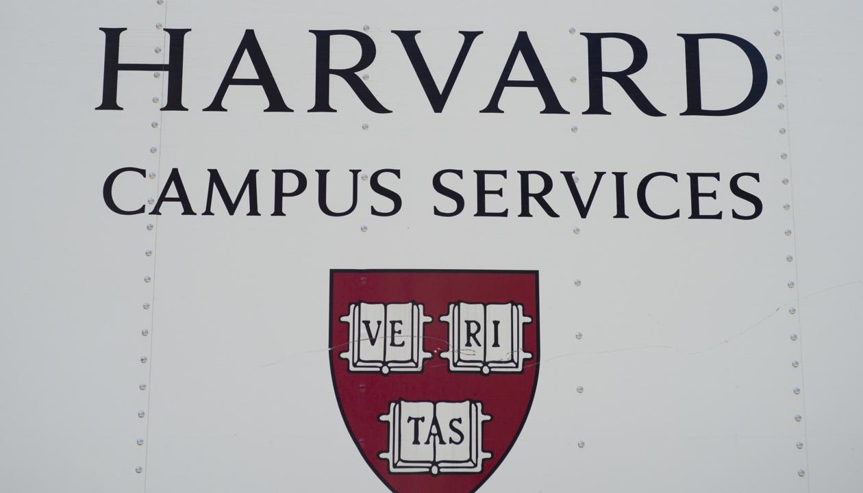 Imagen de referencia.