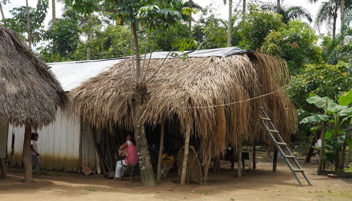 Pueblo indígena Jiw. 
