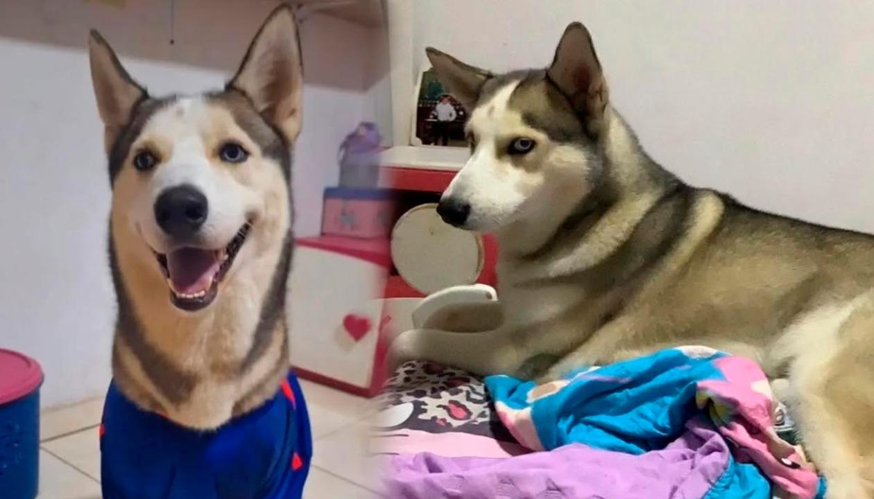 Fotografías de 'Maxi'. 