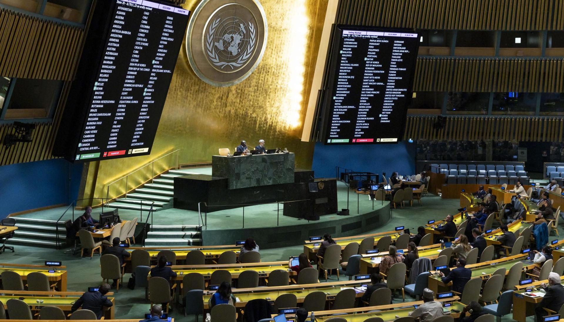 Asamblea General de las Naciones Unidas.