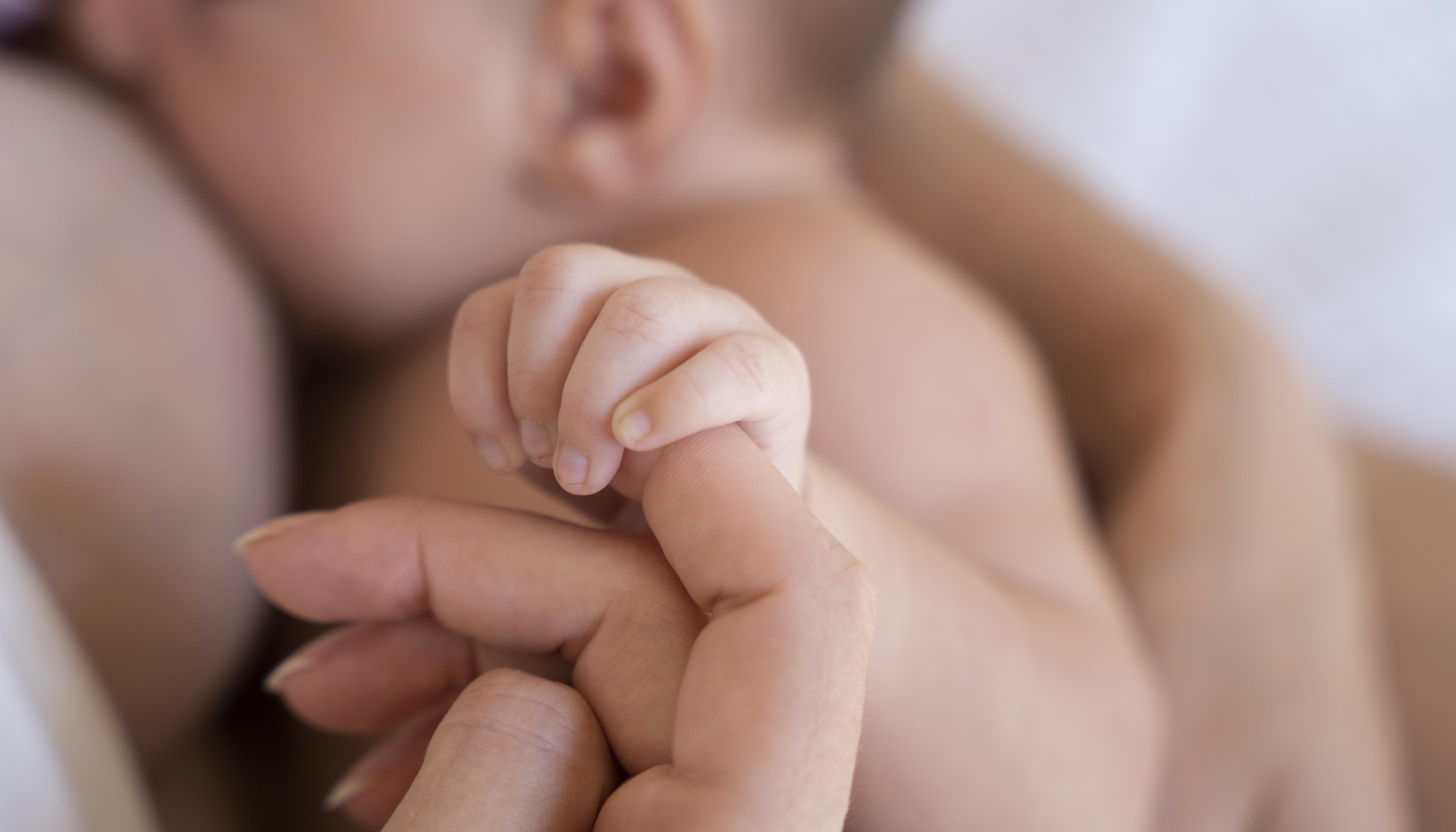 Imagen de referencia.