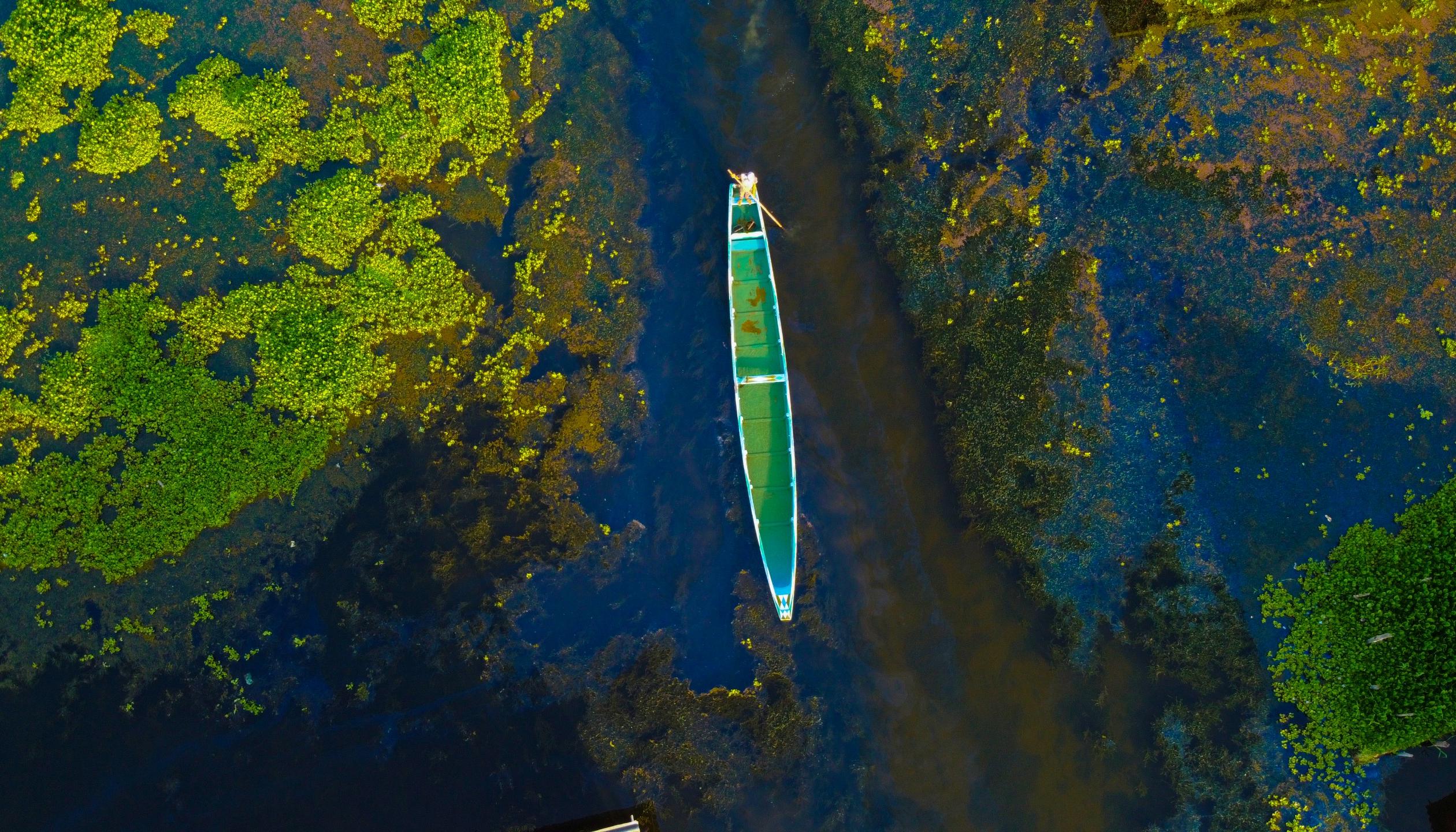 Así se ve la ciénaga en Nueva Venecia
