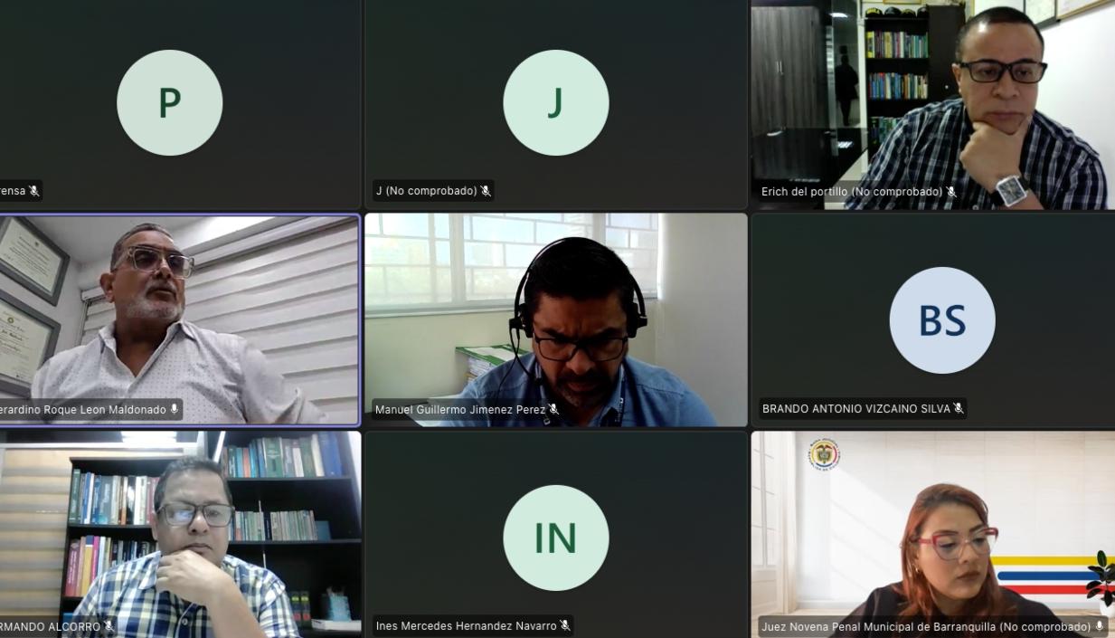 Aspecto de la audiencia virtual de este jueves. 