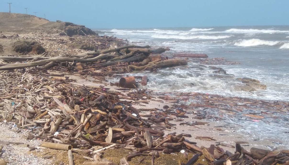 La investigación se llevó a cabo en siete playas remotas del Caribe colombiano. 