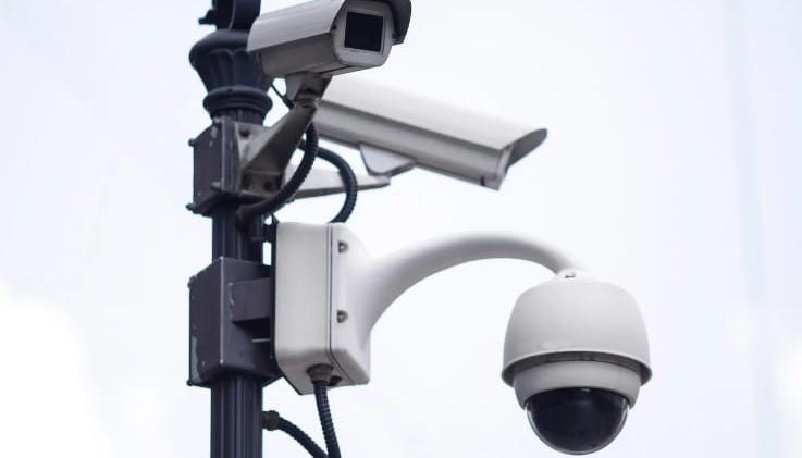 Imagen de referencia.