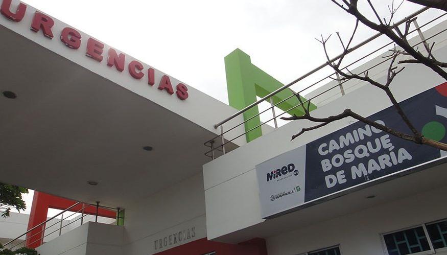 Camino Bosque de María.