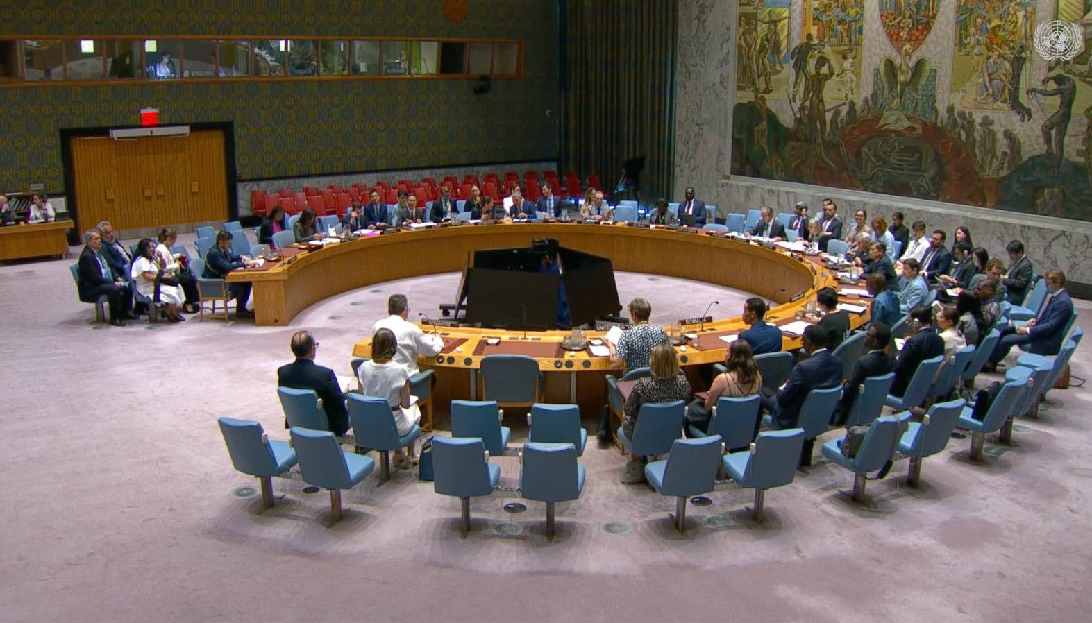 Consejo de Seguridad de la ONU.