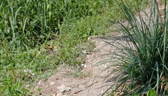 Lugar donde fue asesinado el adolescente. 