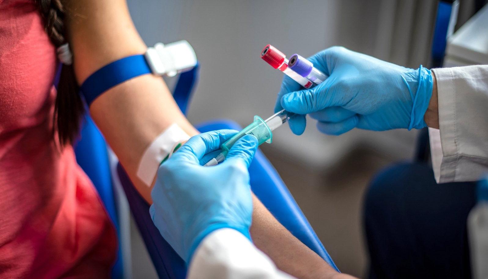 Imagen de referencia.