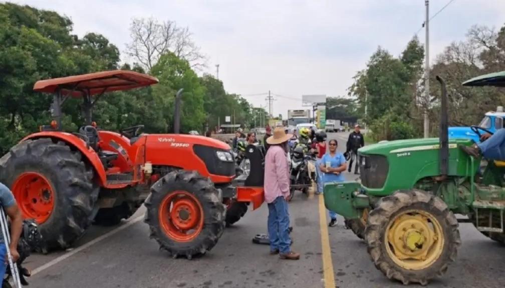 Imagen de referencia.