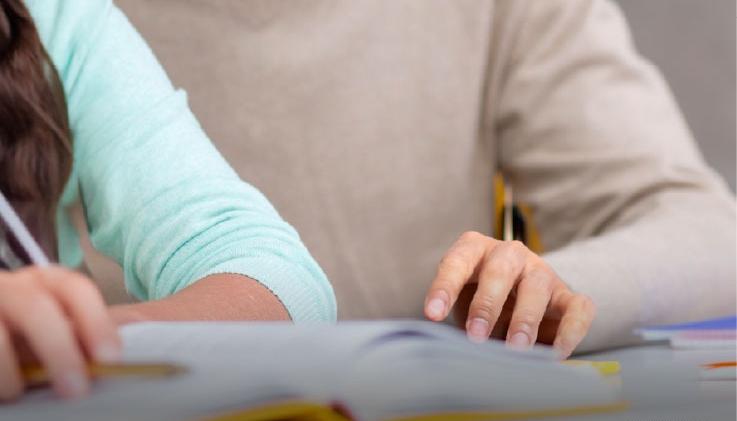 Imagen de referencia.