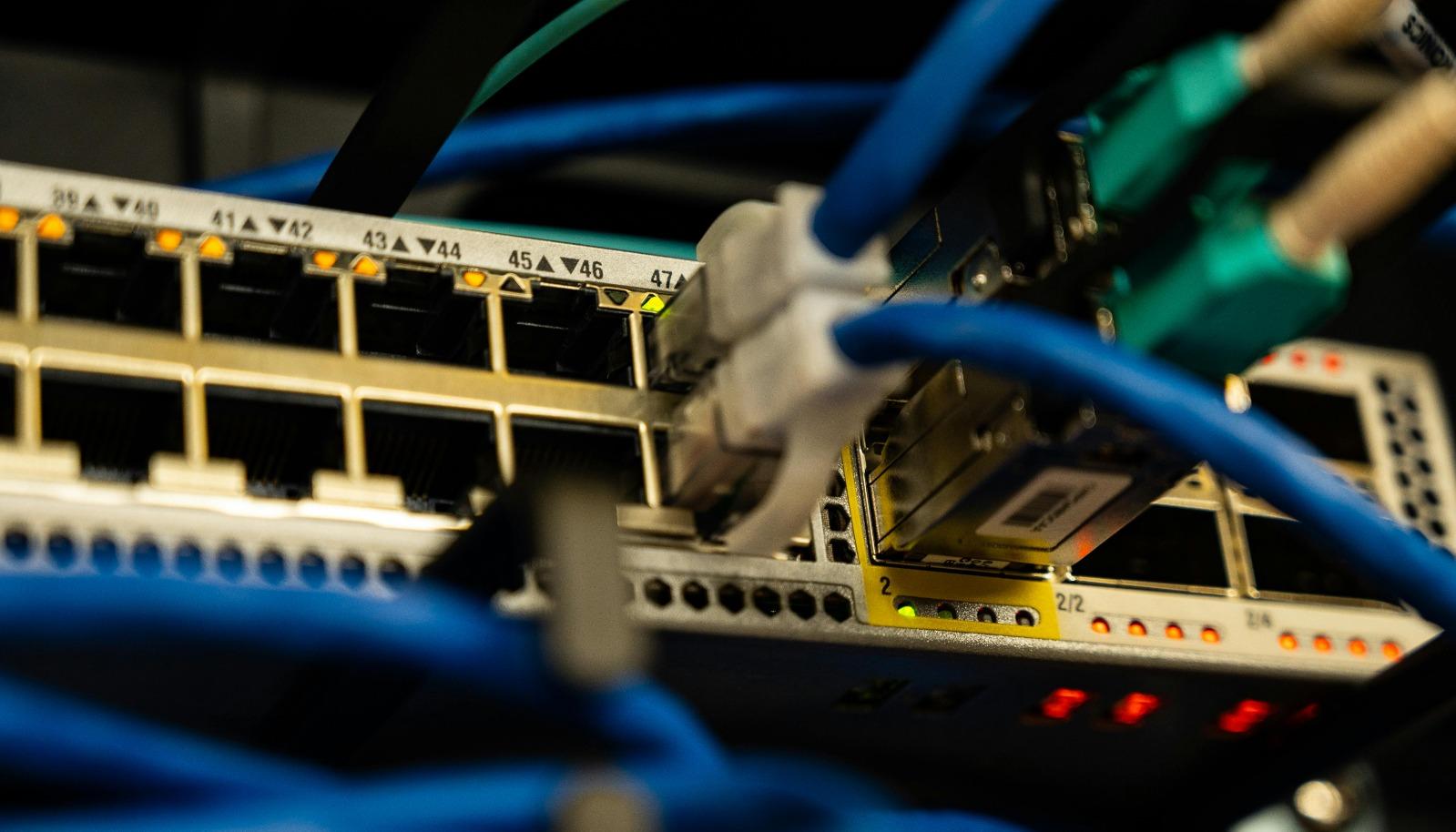 Imagen de referencia.