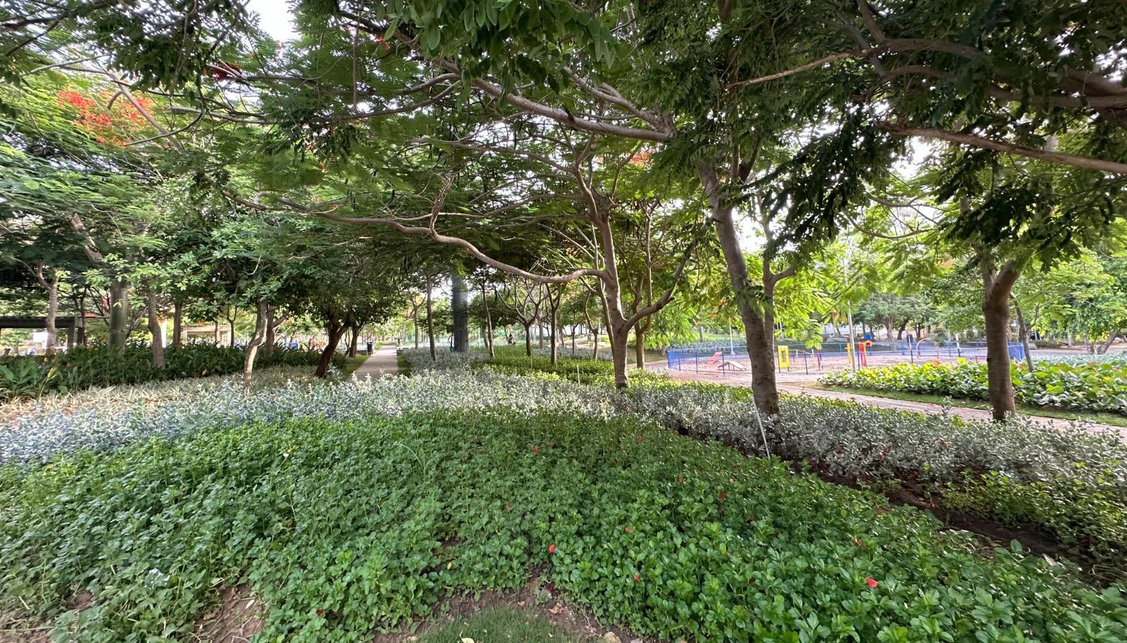 Parque Espejo en Villa Carolina intervenido.