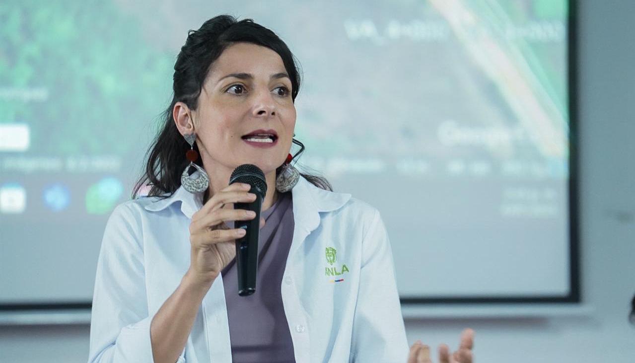 Irene Vélez, directora de la ANLA.