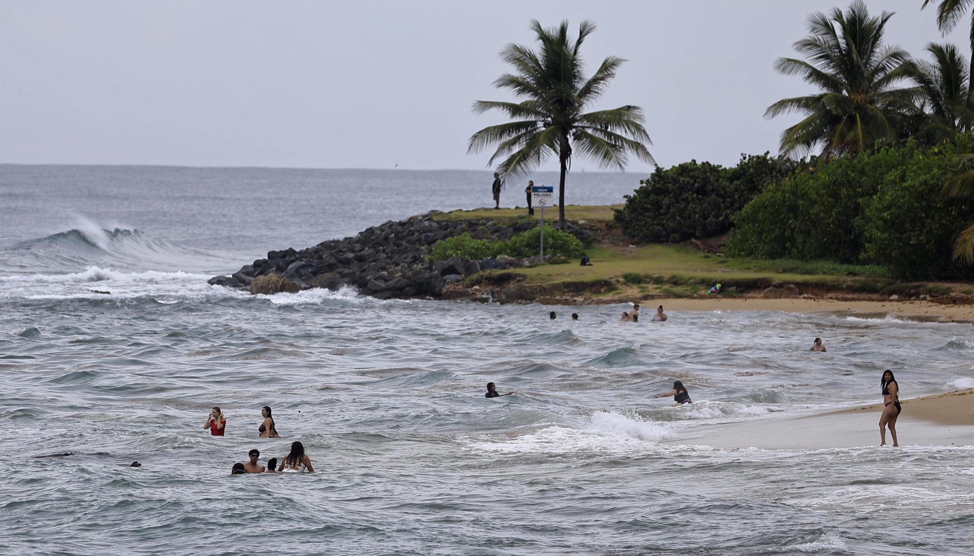 Imagen de referencia.