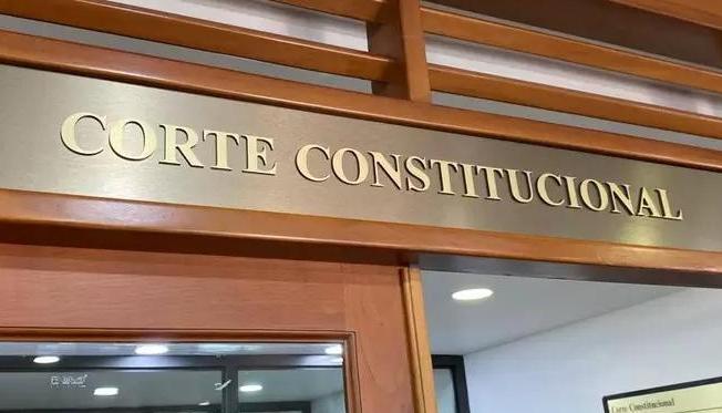 Corte Constitucional.