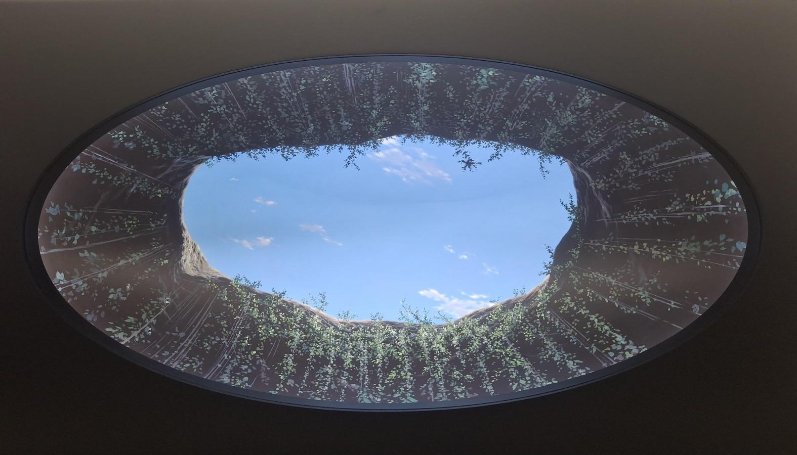 'Vértice y Horizonte': la exposición que fusiona naturaleza y arte en Barranquilla